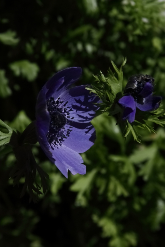 2012 05 20 3988